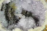 Las Choyas Coconut Geode Half with Quartz & Calcite - Mexico #145864-1